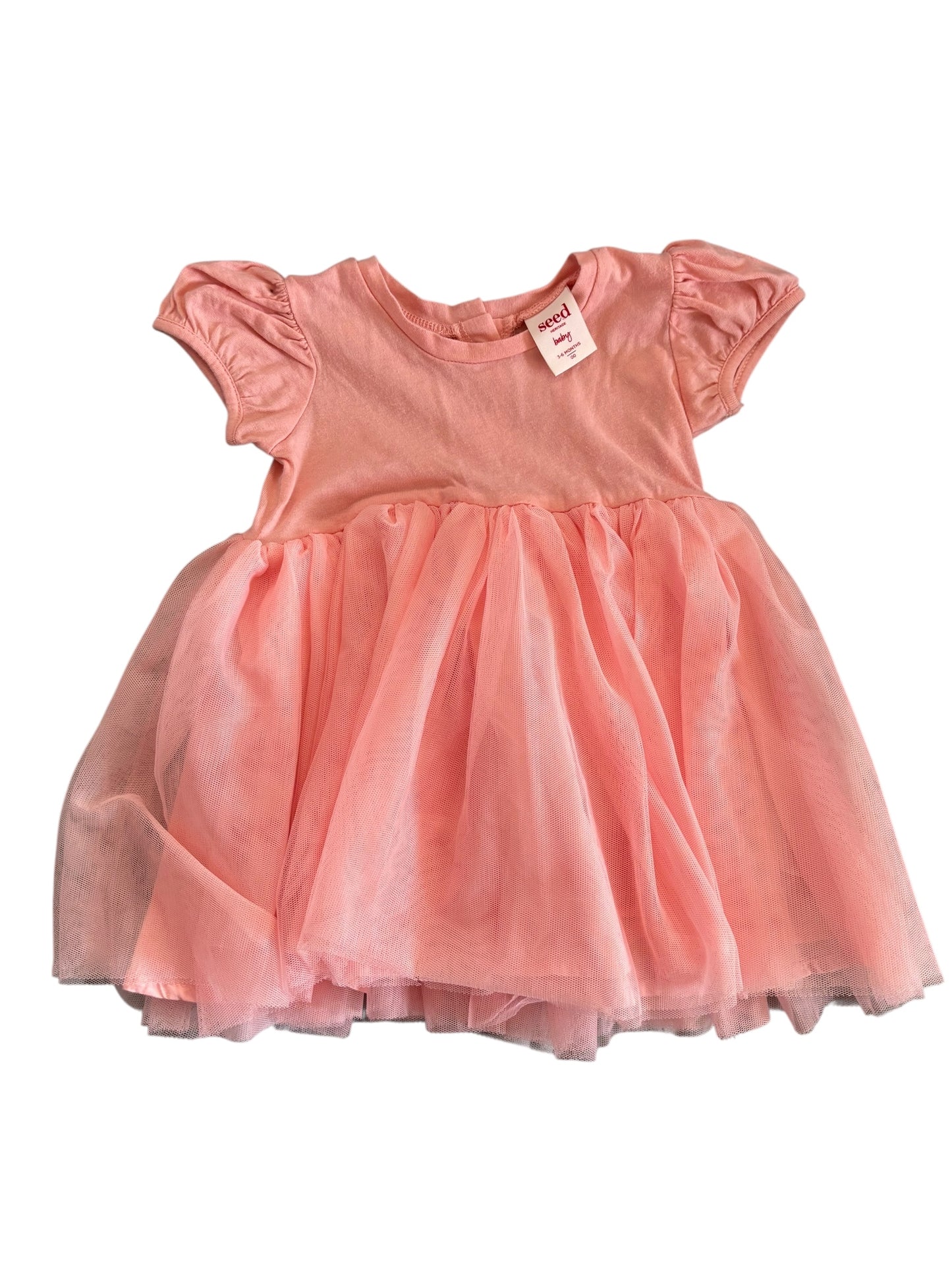 Seed Dress Size 00