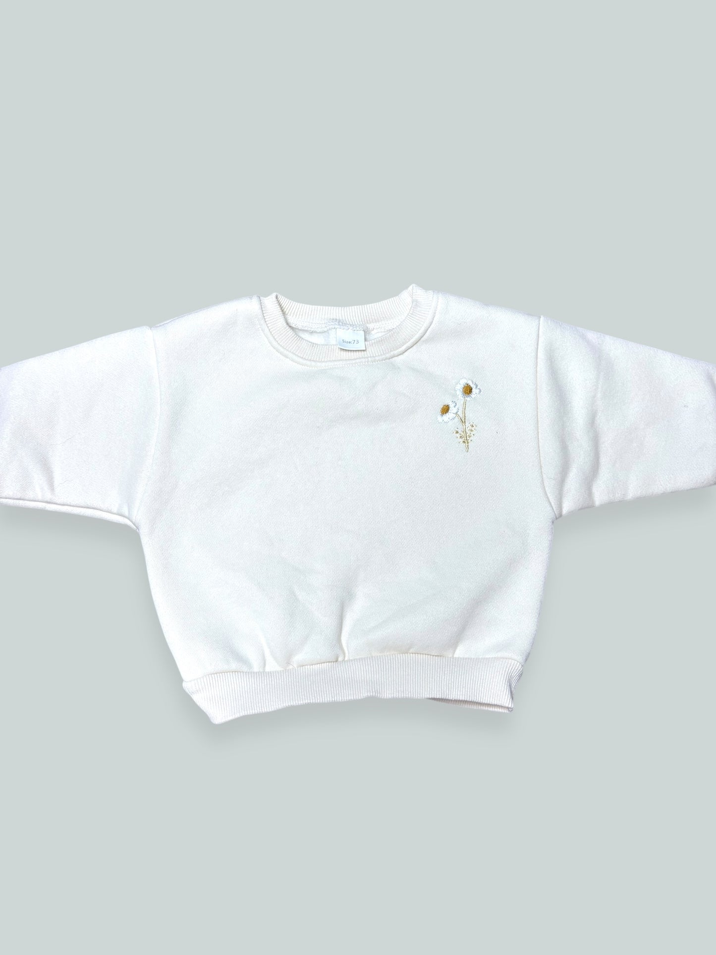 Sweatshirt Size Size 0