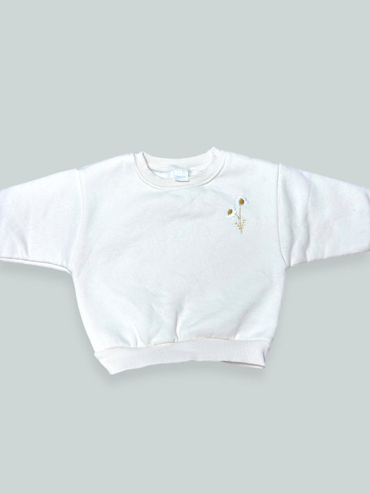 Sweatshirt Size Size 0